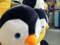 -太平洋海底世界