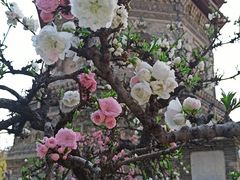 -玲珑塔公园