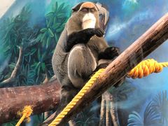 -石家庄市动物园