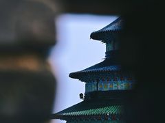 -黄贤森林公园