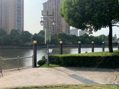 -陈家山荷花公园
