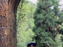 -仙霞关景区