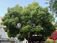 -下塘烧饼(罍街店)