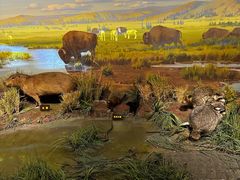 -陕西自然博物馆