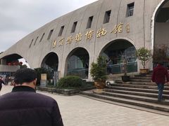 -自贡恐龙博物馆