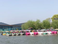 -上海长兴岛郊野公园