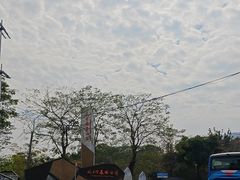 -风云岭森林公园