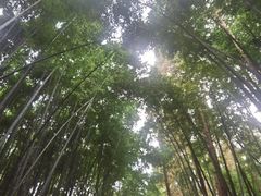 -同里国家湿地公园
