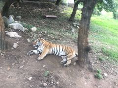 -西安秦岭野生动物园