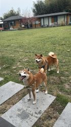 -禧园Joyous Garden ·宴会厅(禧园店)