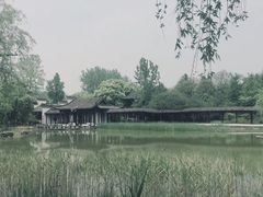 -日出青木·杭帮菜名店