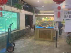 -中环花鸟鱼虫市场