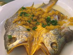 -泉龙渔村·粤式早茶·金牌烧鹅(中山三乡店)