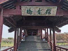 -上海海湾国家森林公园