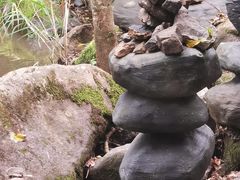 -茅兰沟国家森林公园