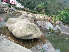 -蔡伦竹海
