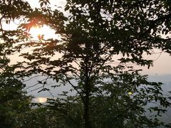-茶颜悦色(岳麓山顶店)