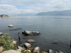 -才村湿地公园
