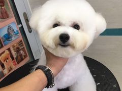 -芭比堂动物医院·24小时·眼科中心(深圳中心)