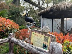 -上海野生动物园