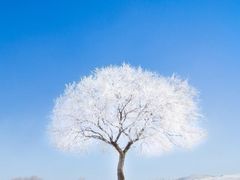 -皇家美孚(海云庵店)