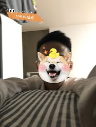 -侨治发型