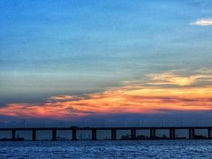 -宝安西湾红树林湿地公园