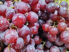 -港华水果街(港华广场店)