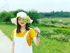 -紫颐香薰山谷景区