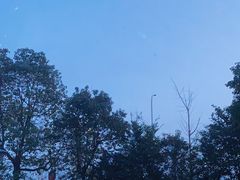 -上海滨江森林公园