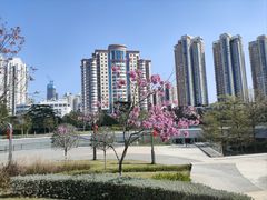 -深圳来福士广场