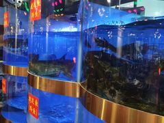 水产区-蛙一刀·麻椒鱼火锅(金仙桥店)