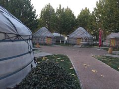 -九十九顶毡房(阜石路店)