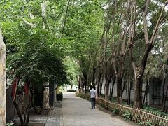 -丰台科技园生态主题公园