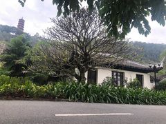 -南沙蒲洲花园