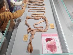 -陕西自然博物馆