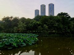 -龙头寺公园
