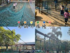 -盈香心动乐园