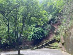 -风云岭森林公园