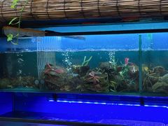 -十面欢腾·海鲜面·台式Bistro(长乐路店)
