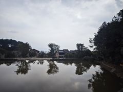 -铁山坪森林公园