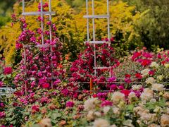 -国家植物园南园