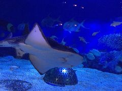 -成都浩海立方海洋公园