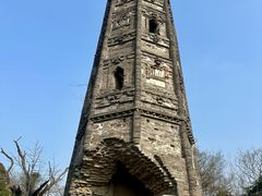 -上海佘山国家森林公园天马山园