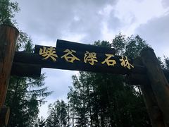 -峡谷浮石林景区