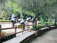 -是拉差龙虎园(Permanently closed)