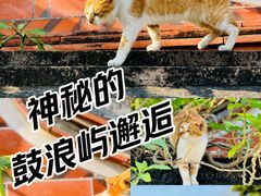 -鼓浪屿