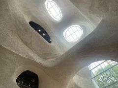 -美国自然历史博物馆