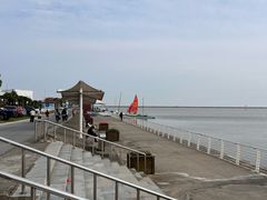 -碧海金沙