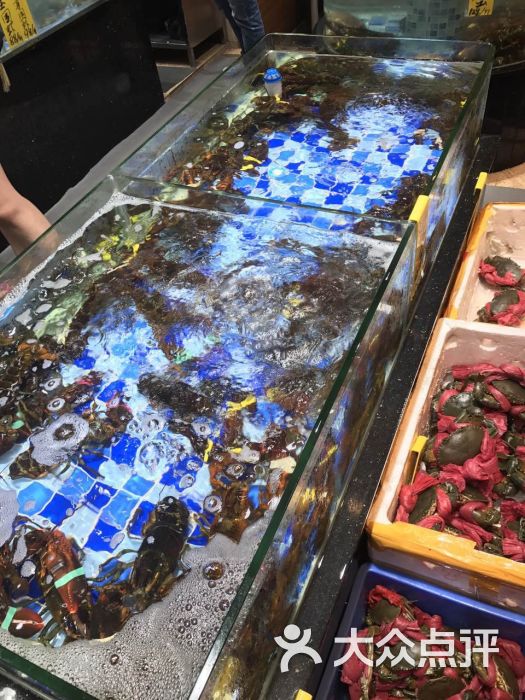 强记海鲜酒楼(汉京国际店)海鲜池图片 - 第105张